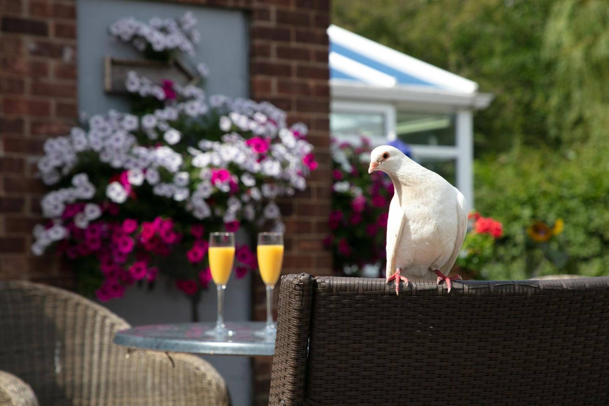 Dorset Arms Hotel 월젠드 외부 사진